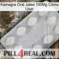 Kamagra Oral Jalea 100Mg Cómo Usar 16